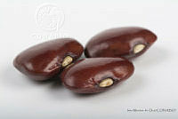 IMDOC2545 Phaseolus lunatus.jpg