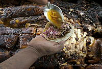 ARL00108 Preparación Cochinita Pibil.jpg