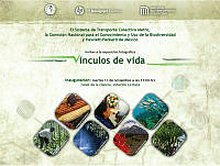 Vinculos de vida.pdf