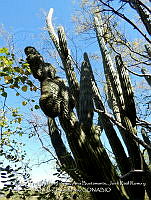 LI005 0157 Stenocereus thurberi.jpg