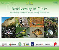 Presentacion Expo Ciudades Completa-1.pdf