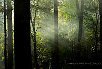 MDRJJ01 Ecatzingo, Estado de México.jpg