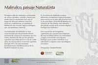 cedula_introduccion.jpg