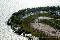 MTamp0011 Matamoros, Tamaulipas.jpg