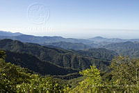 MASM08123 EL Triunfo, Chiapas.jpg