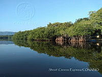 SCE001 Actopan, Veracruz.jpg
