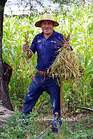 RG055 0083 Agricultor.JPG