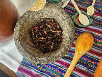 OM 0012 Molcajete con chapulines.jpg