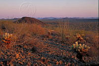 CSP0103 El Pinacate, Sonora.jpg