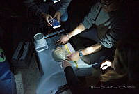 MEP08 Limulus polyphemus.jpg