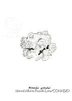 MARL0452 Monoclea gottschei.jpg