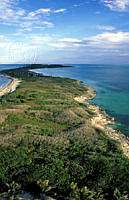 HBAHENA_CONTOY.jpg