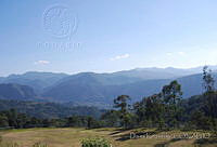 DK0689 Sierra Juárez, Oaxaca.jpg