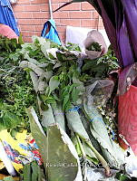 SG012 0028 Arbutus xalapensis.jpg