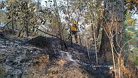 XE006 006 Incencio forestal Nevado de Toluca.jpg