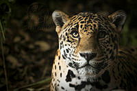 msicilia_MG_4765.jpg