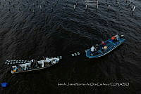 IMDOC4137 Panorámicas de INAPESCA.jpg