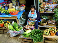 VOCM04 San Cristóbal de las Casas, Chiapas.jpg