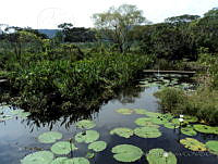 JMDG011 La Mancha, Veracruz.jpg