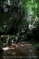 MASM02130 Santa María Chimalapa, Oaxaca.jpg