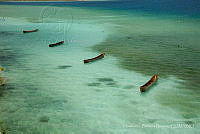 HBB001 Othón P. Blanco, Quintana Roo.jpg