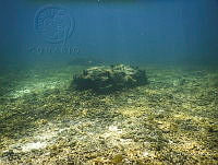 EFBP009 La paz, Baja California Sur.jpg