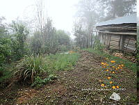 RG055 0226 Huerto de transpatio.JPG