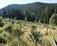 Reserva Santa Fe, La Marquesa (Ruben Ortega Alvarez).jpg