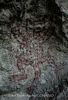 FBA0770 Pinturas rupestres.jpg