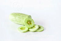 ZG012 0087 Cucumis sativus.jpg