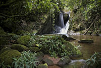 msicilia_MG_9903.jpg