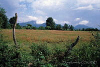 DK2255 Pátzcuaro, Michoacán.jpg