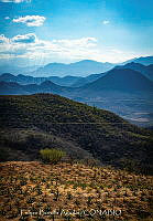 FBA1417 Paisaje en Oaxaca.jpg