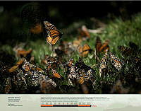 Mariposa Monarca.jpg