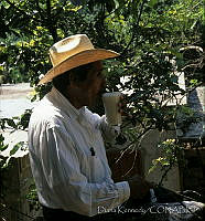 DK2112 Yogopi, Oaxaca.jpg