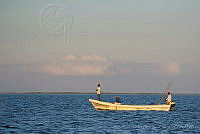 IDG1181 Holbox, Quintana Roo.jpg