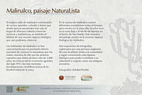 cedula_introduccion.jpg