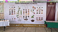 15457fa4-13d7-4d02-98de-9a17c066fc6e.jpeg