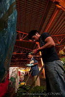 IDG0853 Opuntia sp..jpg