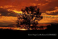 VHCR001 Guadalajara, Jalisco.jpg