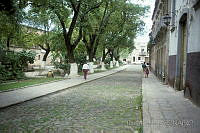 DK1695 Morelia, Michoacán (2).jpg