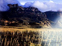 FGM3420 Acuña, Coahuila.JPG