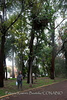 PRB0184 Gustavo A. Madero, Ciudad de México.jpg