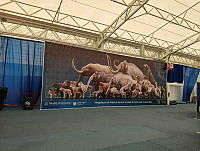 IMG-20251002-WA0055.jpg