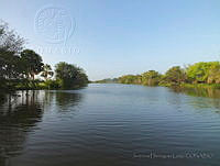 JDL0489 Centla, Tabasco.jpg