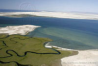 CNS0479 Laguna San Ignacio, Baja California Sur.jpg