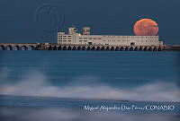 MADP003 Progreso, Yucatán.jpg