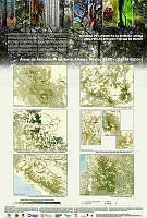 carbono nacional B.pdf