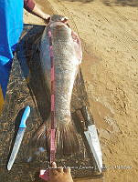 RE006 0084 TrabajoCampo_14.tif