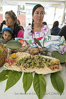 IMDOC3302 Liometopum apiculatum.JPG